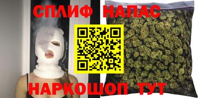 гидропоника Будённовск