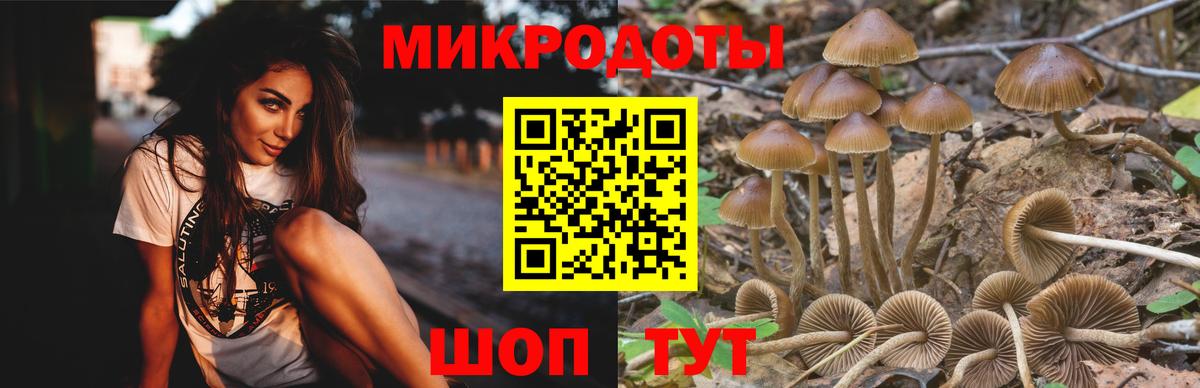 Лянтор  где продают наркотики  Вход с VPN  Псилоцибиновые грибы прущие грибы 